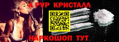 спиды Будённовск