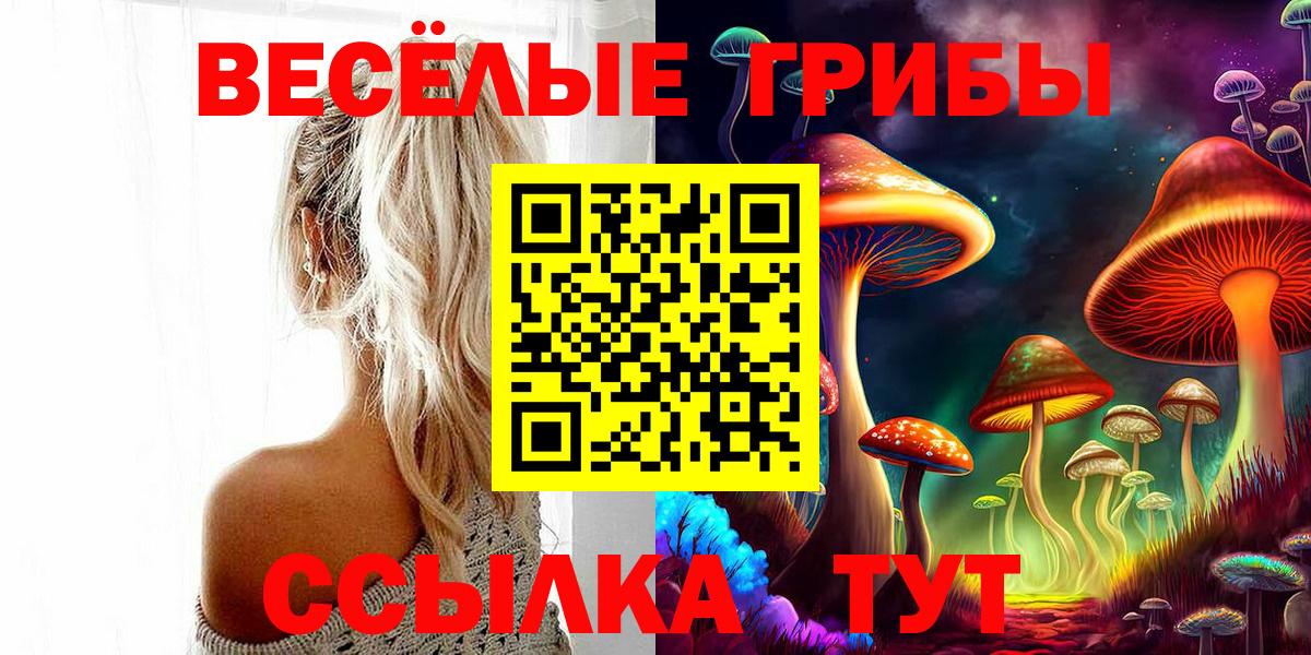 Усинск  Галлюциногенные грибы Psilocybe  Вход с VPN 